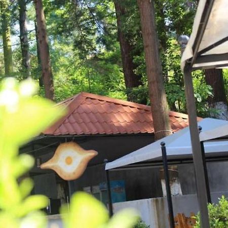 Hulus Hotel 마킨자우리 외부 사진